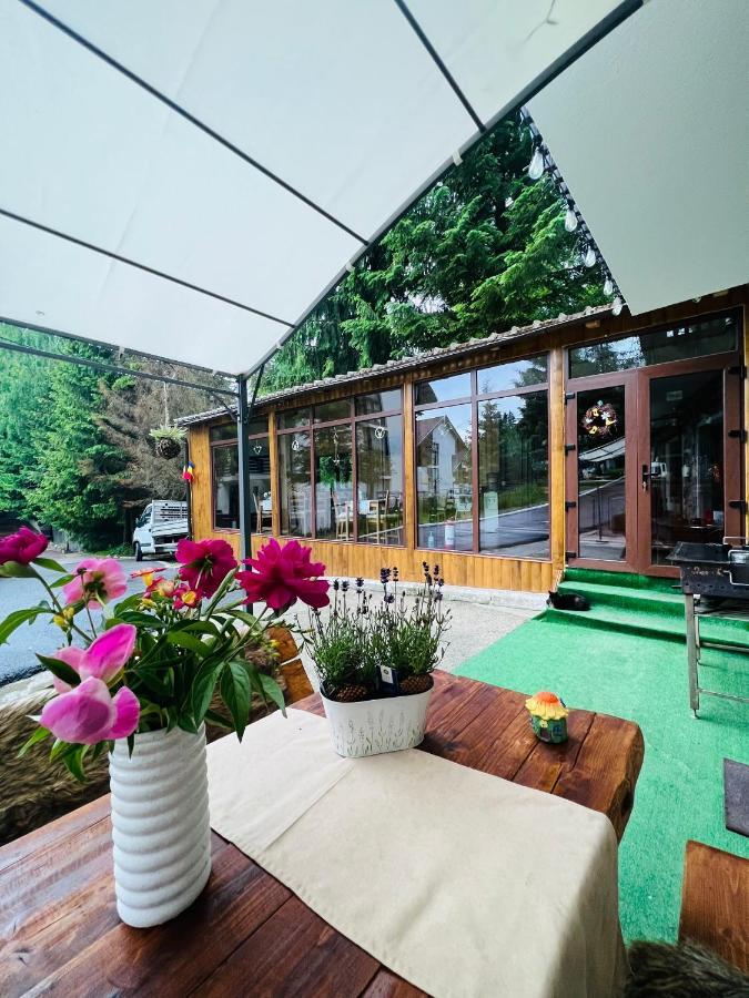 Cabana Din Poienita 포이아나브라소프 외부 사진